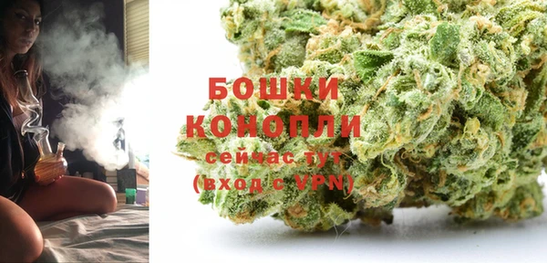 дмт Горняк