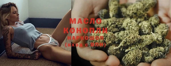 твердый Вяземский